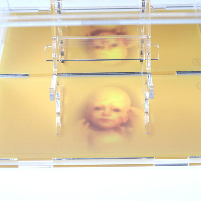 Death Stranding PS4 Dual Case & Controller Stand