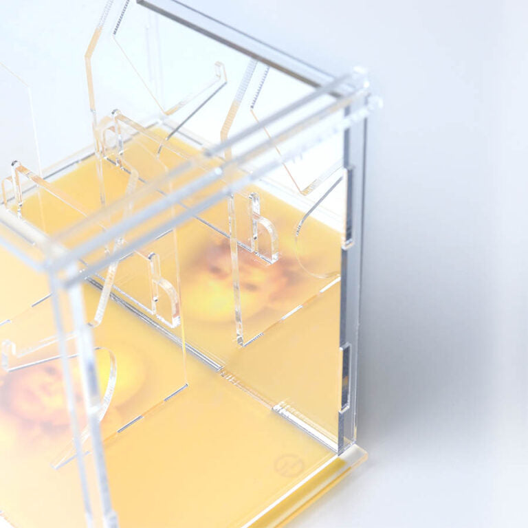 Death Stranding PS4 Dual Case & Controller Stand