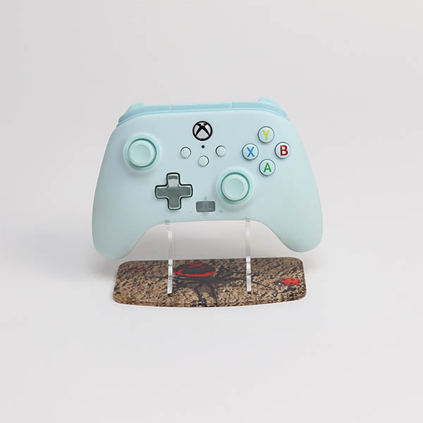 Grounded Xbox Controller Stand